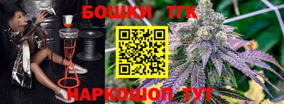 гашик Берёзовский