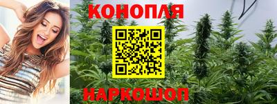 гашик Берёзовский