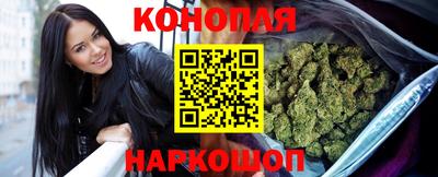 гашик Берёзовский