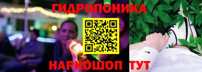 гашик Берёзовский