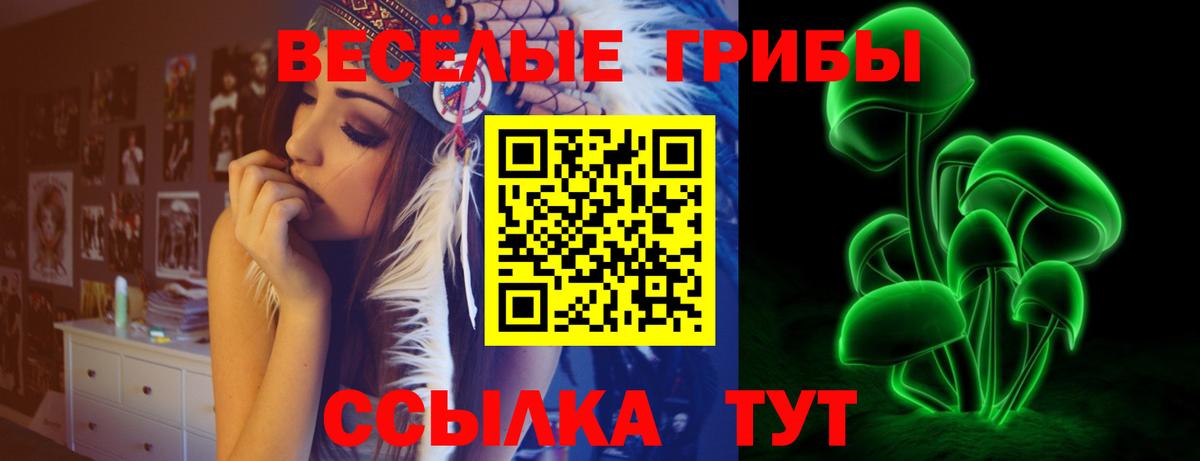 Златоуст  Галлюциногенные грибы Psilocybe  Вход с VPN 